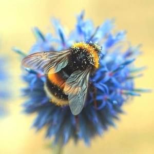 Meet your Posher, Jodi